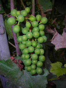 image023